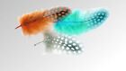 Bulk Mixed Guinea Fowl Plumage Hackles 50G Fly Tying Gordon Griffiths