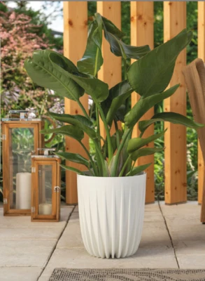 Blumentopf Rund Übertopf Pflanztopf sehr DEKORATIV Struktur 5 Farben 4 Größen - Bild 1 von 4