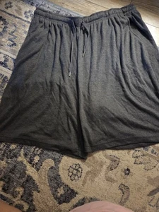 Women's Plus Size 22 Shorts - Picture 1 of 3