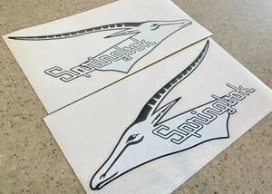 Springbok Vintage Boat Decals Vinyl 12" 2-Pak FREE SHIP + Free Fish Decal! - Picture 1 of 1