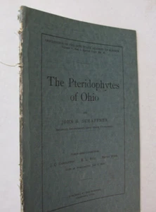 Farne von Ohio Pteridophyten Botanik Botanische Pflanzen von Schaffner OSU 1910 Farn  - Bild 1 von 3