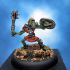 Gobelin miniature Painted Reaper OSES Warrior I
