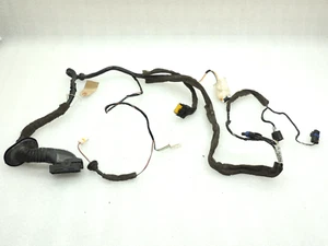 Arnés de cables puerta trasero derecho izquierdo renault scenic ii j84 jm 8200466050 - Imagen 1 de 14