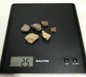 TRICERATOPS DINOSAURIERKNOCHENFOSSILIEN ~ 25 GRAMM TASCHEN ~ KREIDEZEIT ~ UK VERKÄUFER - Bild 1 von 4