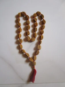 Natürliche Rudraksha Kantha Rosenkranz Halskette, 33 Perlen, 2 Gesichter, 30" Länge, Perlen - Bild 1 von 16