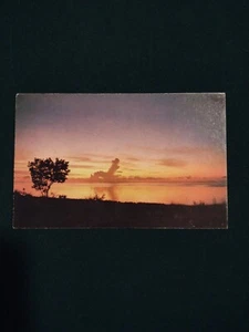 Exotischer Sonnenuntergang in Florida - Postkarte DOO933 Dukane Press - Bild 1 von 2