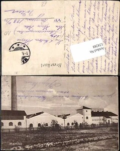 124288,Maribo Trifolium  - Picture 1 of 1