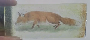 Stained Glass Fox foxes piece - Picture 1 of 2