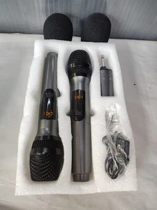 Wireless Microphone Rechargeable MIicrophone Dual Handheld Microphone System - Picture 1 of 6