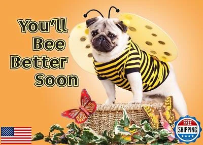 Glory To Dog You’ll Bee Better Soon – Funny Get Well Card with Pug in Bee Cos - Image 1 of 4