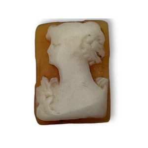 Vintage Carved Loose Shell Woman Left Facing Cameo 16 x 11 mm - Picture 1 of 3