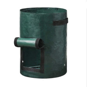 NNETM Large Potato Grow Bag with Handles Green - Picture 1 of 6