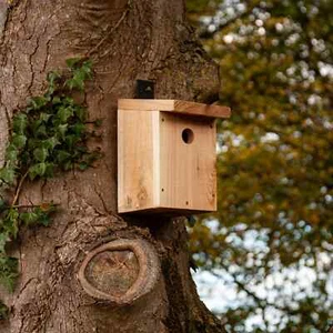 Rustic Nest Box - Picture 1 of 2