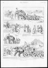 1898 antiker Druck - TIERE Elefanten Straßenlaufrad Fahrrad Soldaten (328)