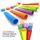 EXTRA LARGE 2-6 pcs ice lolly mould silicone push up ice cream frozen