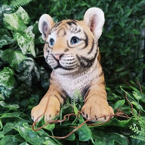 Vivid Arts - Playful Tiger Cub - Picture 1 of 9
