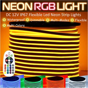 DC 12V LED Controller RGB LED Neon Rope Light Waterproof Outdoor Building Decor - Picture 1 of 21