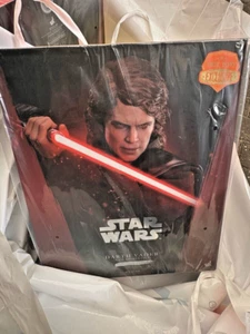 Hot Toys SWCJ 2025 Anakin Skywalker DX 1/6 Figure With Bonus Sleeve Limited 1500 - Picture 1 of 3