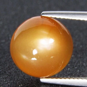 8.25Cts Natural Ravishing Orange Moonstone 12mm Round Cabochon Gemstone - Picture 1 of 6