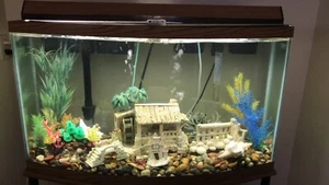 75 gallon aquarium stand and all accessories and fish food  - Picture 1 of 4