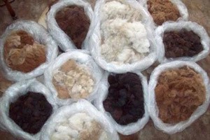 3 Pounds Llama Wool! Free Shipping. Fine fiber. Sustainable, Natural And Organic - Picture 1 of 12