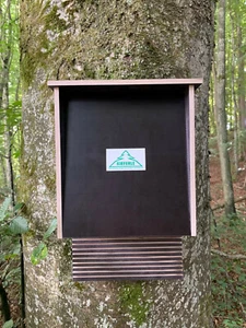 Caja de murciélagos, hotel de murciélagos, cabaña de murciélagos #016.018 - Imagen 1 de 4