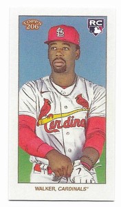 2023 Topps 206 High Series Polar Bear Back Jordan Walker Cardinals RC SSP