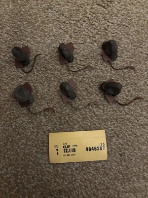 Chevy Bel-Air 1962 juego de clips de moldura lateral como nuevo/6 con tarjeta de inventario 4846207 leer Foto 1 de 4