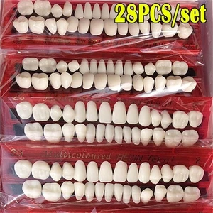 Care Synthetic Resin Tooth Tool Teeth Veneers Simulation Teeth Resin Acrylic - Picture 1 of 12