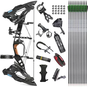 Compound Bow Set Steel Ball Arrows Hunting 21.5lbs-60lbs Dual-use Archery Target - Picture 1 of 15