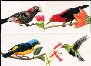 1999 Tropical Birds UX293-UX296 Fleetwood postal card set parrot hummingbird - Picture 1 of 3