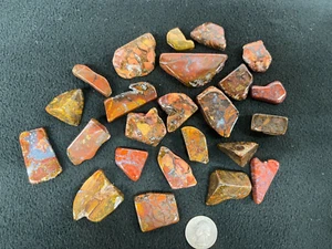 9,3 oz. 24 Stück poliertes Lavic Abstellgleis Jaspis Display California - Bild 1 von 3