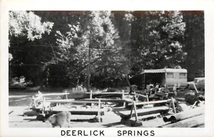 RPPC Postcard Deerlick springs Campground deer and Trailer Trinity County - Picture 1 of 2