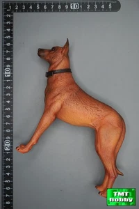 1:6 Scale X-STUDIO X-S004 Fallout Cooper Howard - Dog CX404 - Picture 1 of 3