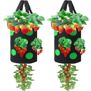 2 Pack Gardens Upside Down Strawberry Planter Hanging Tomato Strawberry Grow ... - Picture 1 of 7