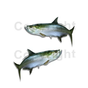 Tarpon Sticker Decal Fishing RV Boat Car Truck Camper Trailer F082 2 Pack - Picture 1 of 1
