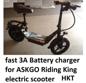 🔥Netzteil Schnell 3A Akku Ladegerät für ASKGO Riding King Elektroroller HKTT - Bild 1 von 5