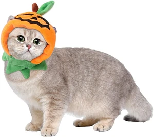 Halloween Katze Kostüme Kürbis Katze Hut Haustier Cosplay Kostüm Kappe für Halloween Kit - Bild 1 von 7