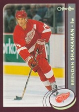 2002-03 O-Pee-Chee Gold Foil #263 BRENDAN SHANAHAN - Detroit Red Wings