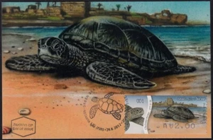 JUDAICA - ISRAEL #12030 TURTLES ATM STAMP on SET of 2 MAXIMUM CARDS - Picture 1 of 2