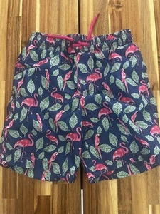 Beach Bros Flamingo Blue Boys Swim Shorts Size 8 Trunks Bottoms - Picture 1 of 4