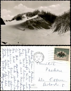 Ansichtskarte In den Dünen 1968 gel. Stempel Borkum - Picture 1 of 3