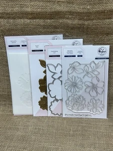 Pinkfresh Studio Brighter Days Stamp, Die, Hot Foil Plate & Stencils Sets - New! - Picture 1 of 10