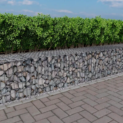 20m Gabionen Mauer 50cm hoch Gabionenwand Stützwand Gabionen Hangabfangung ✔️ - Bild 1 von 4