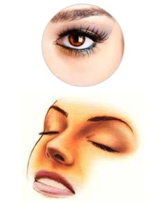 3 KURSE SCHULUNG NAGELDESIGNERIN VISAGISTIN PERMANENT MAKE-UP 8 ZERTIFIKATE FILM - Picture 1 of 1