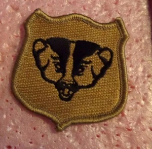 ARMY PATCH, ARMY NATIONAL GUARD, WISCONSIN, DESERT, VARIATION - Picture 1 of 1