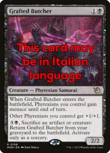 MTG GRAFTED BUTCHER EXC - MACELLAIA INNESTATA 109 - MOM PP - MAGIC - Imagen 1 de 1