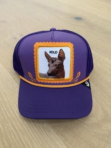 GOORIN BROS TRUCKER “Xolo " DIA DE MUERTOS - Picture 1 of 3