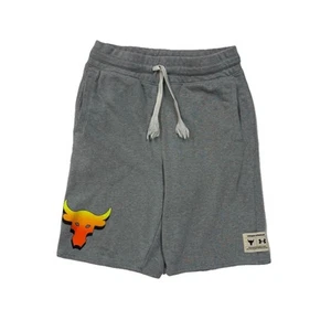 Under Armour Project Rock Shorts Boys Youth Large YL Gray Terry 8" Pockets - Picture 1 of 12