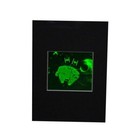 Star Wars Millennium Falcon Hologram Picture MATTED, Photopolymer Type